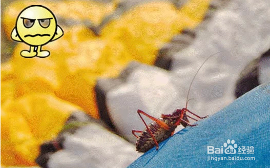 史上最全的滑翔伞保养诀窍：[1]滑翔伞保养