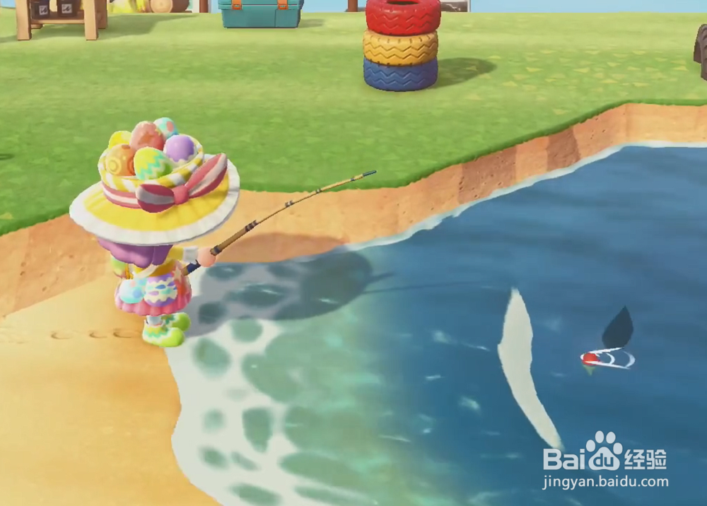 动森皇带鱼怎么钓