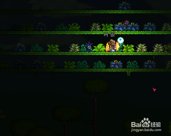 泰拉瑞亚生命果在哪里,生命果怎么找