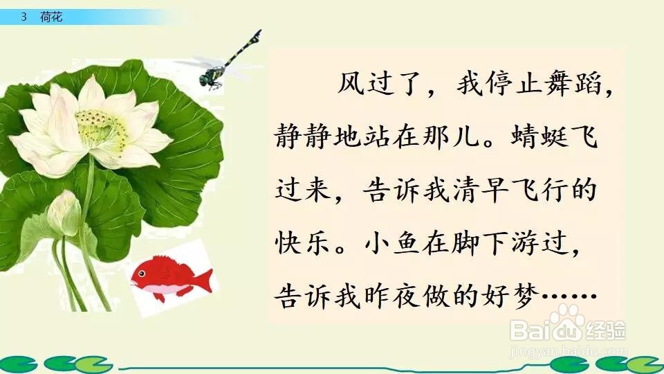 如何描写荷花的美