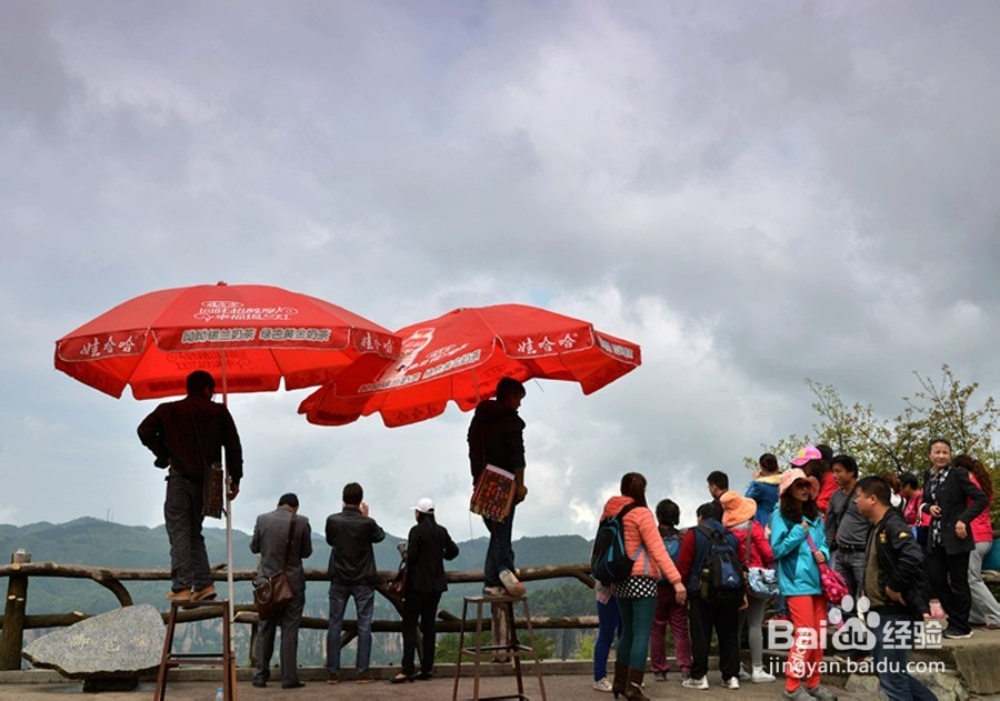 铁岭到张家界自驾游