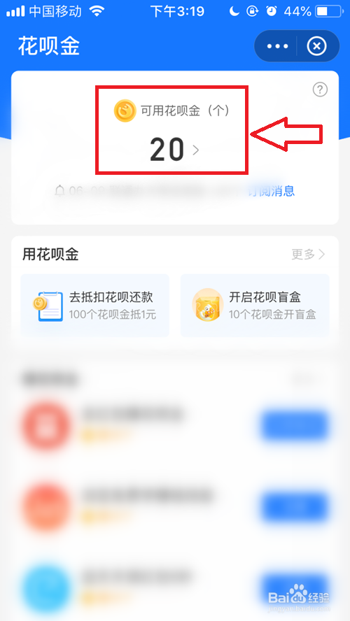 如何查看自己有多少花呗金