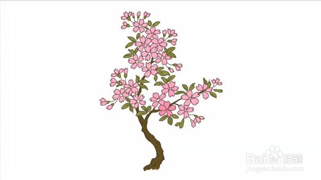 武大樱花盛开简笔画