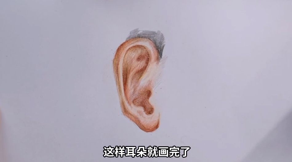 如何用彩铅画耳朵？