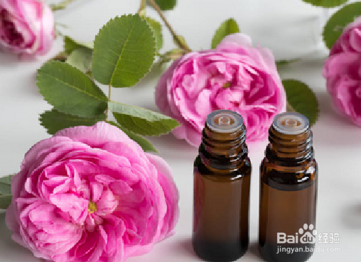 玫瑰精油对脸部的作用