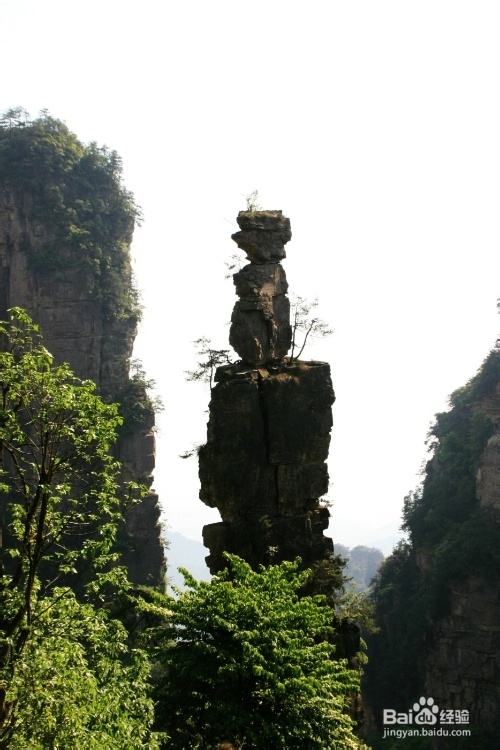 重庆到张家界自助游