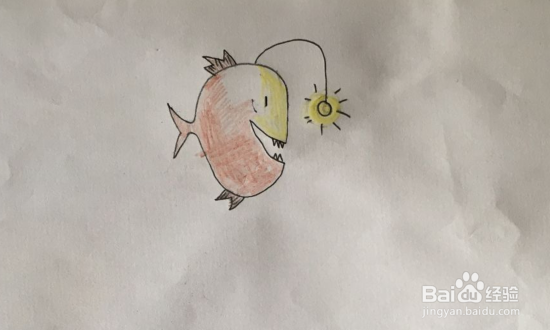 如何画自带灯泡的琵琶鱼
