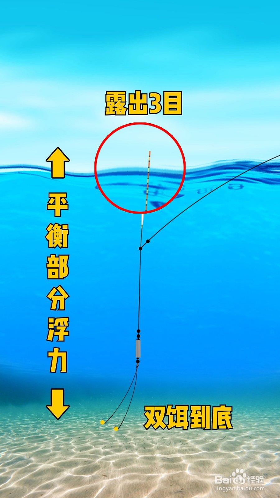 调一钓三图解水下图片图片