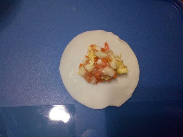 蔬菜肉末鸡蛋煎饺