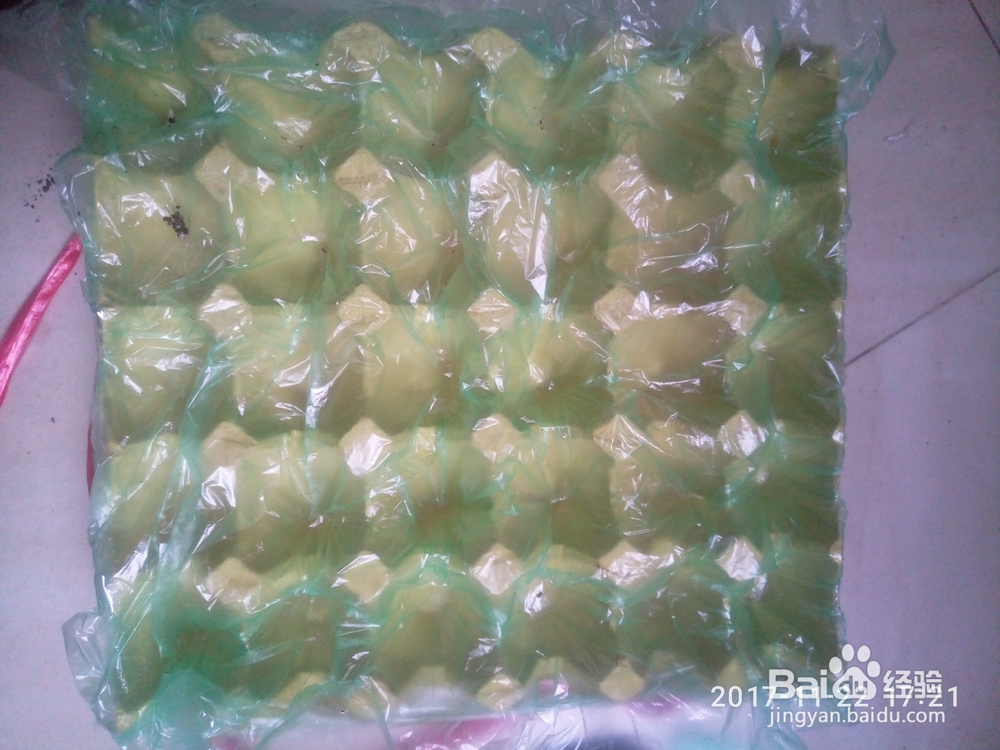 如何用鸡蛋托种多肉植物(多肉叶插)
