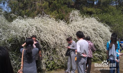 无锡鼋头渚旅游介绍