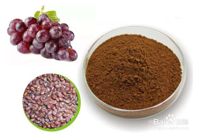 葡萄籽粉的功效与作用及食用方法