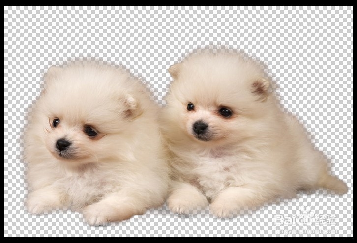 用调整边缘功能抠图：[3]抠图技巧