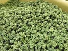 健康减肥三大招