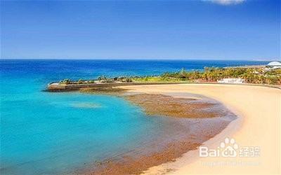 多肉植物怎么养