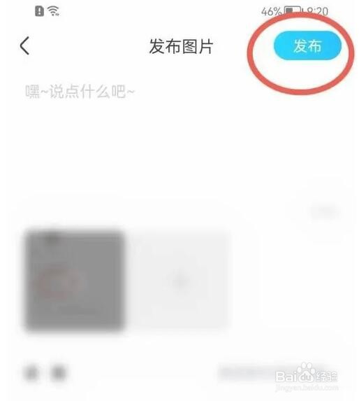 优酷图文动态在哪发布