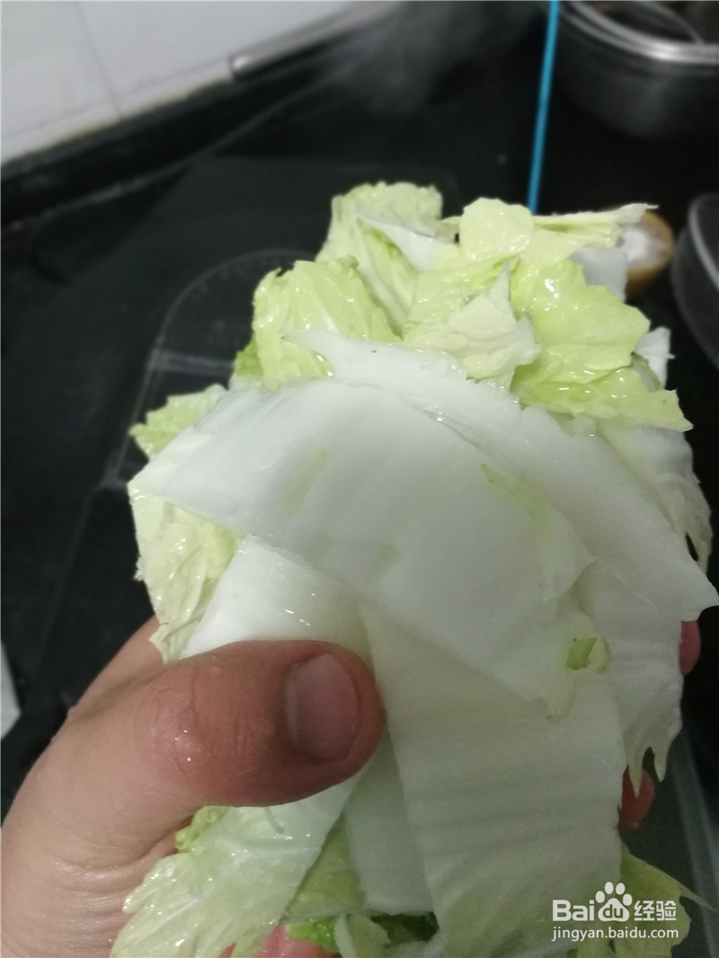 油滋炖豆角白菜