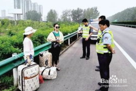 行人罚款网上怎么交