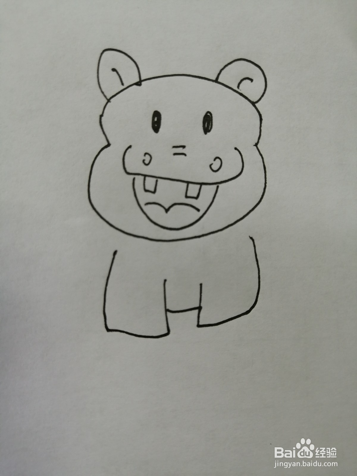 可爱的小河马怎么画