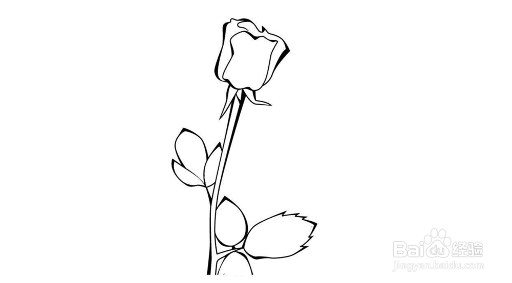 玫瑰花简笔画教程