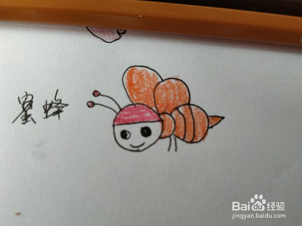 小蜜蜂简笔画怎么画,怎么画卡通小蜜蜂简笔画