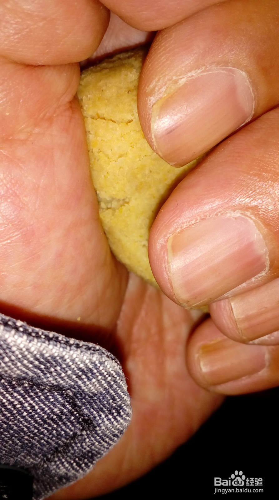 垂钓大型鱼使用的饵料