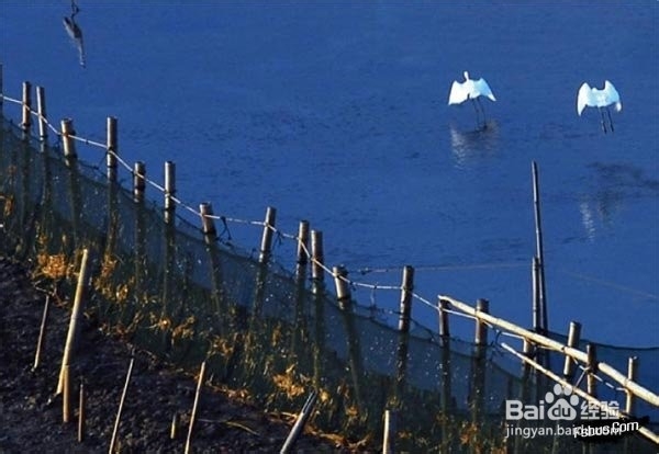 拍摄风景时怎么构图