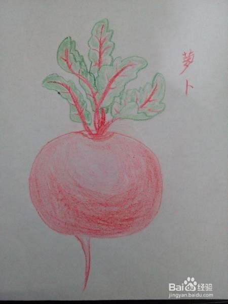 怎样简笔画萝卜