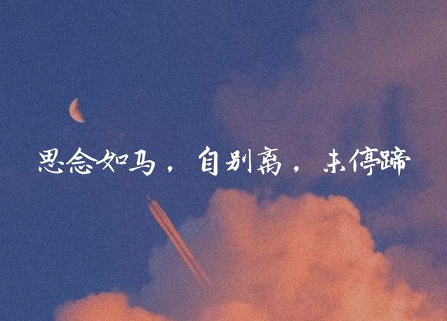 思念如网,下一句是