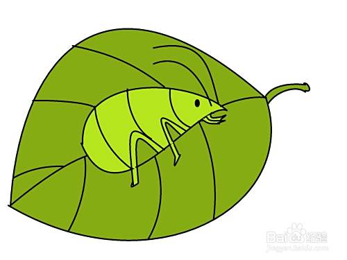 怎样画叶子上的蚜虫