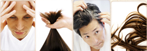 简单食疗生发和预防脱发的经验