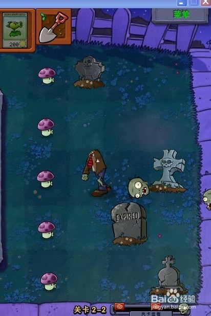 植物大战僵尸快速通关游戏攻略：[13]2-2.1
