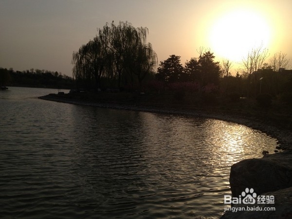 北京旅游攻略：[9]旺兴湖公园