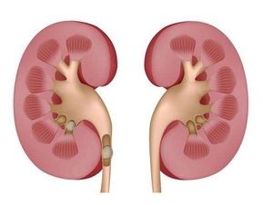 如何早期发现痛风