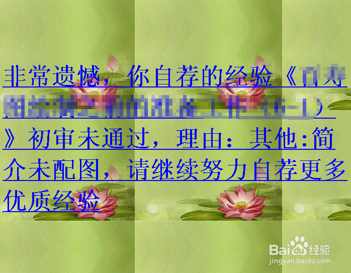 自荐经验未通过审核的原因