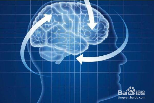 有什么可以提高孩子记忆力