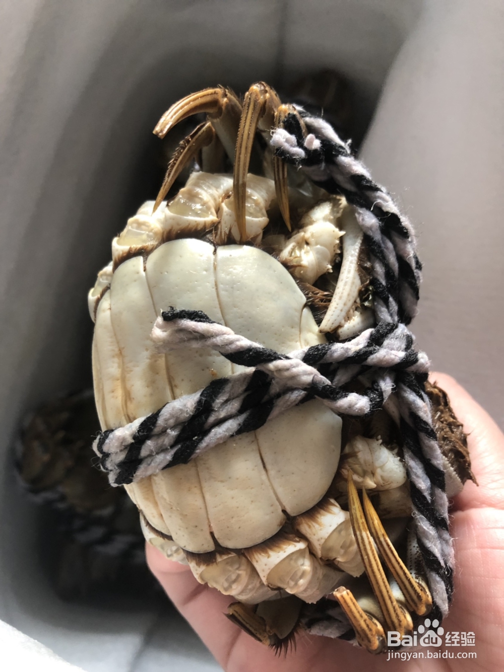 我给姐姐做大闸蟹