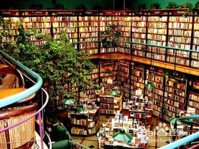 全球十大最具创意的书店排行