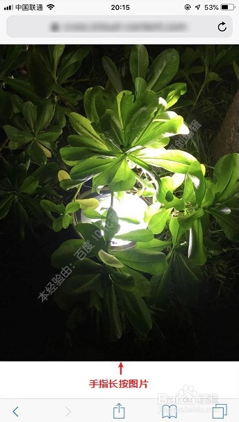 苹果手机怎么恢复已删除的照片