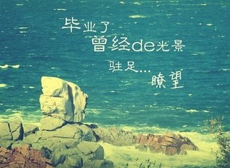 毕业季的您将何去何从—初中篇