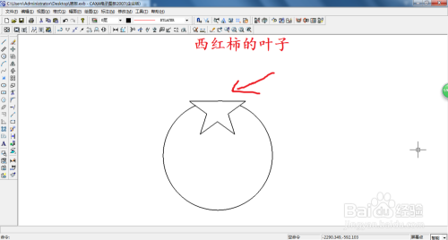 西红柿的简笔画