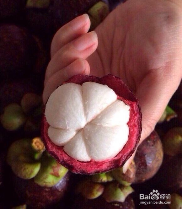 怎么挑选新鲜果肉肥实的山竹