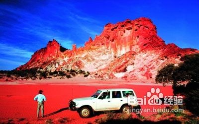 总结行车节油完全手册