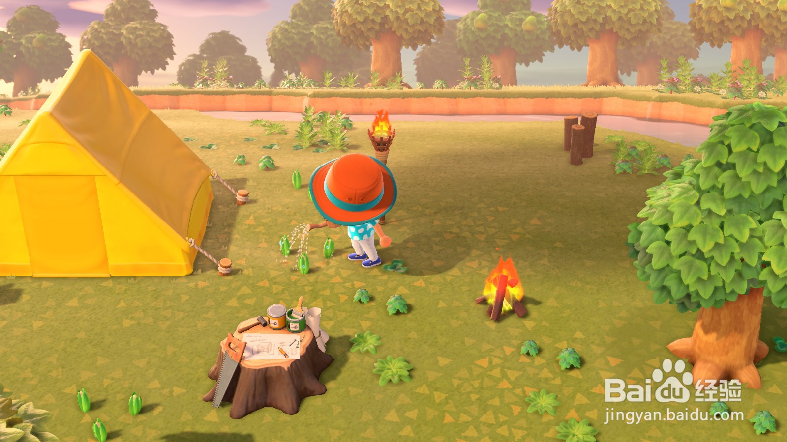 动物森友会怎么浇花