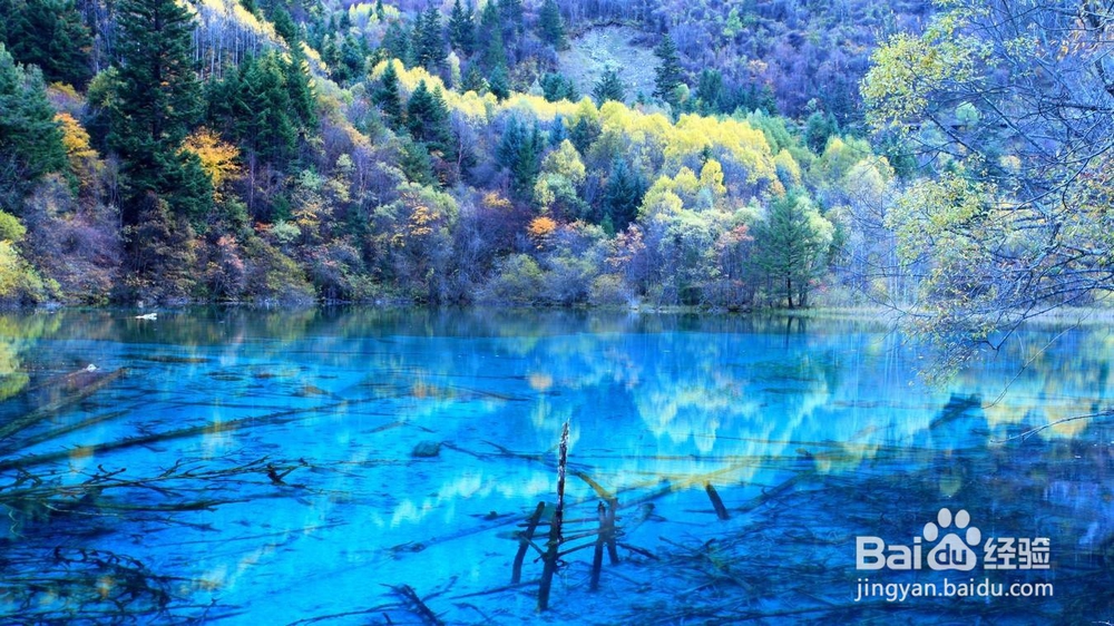 去九寨沟要注意些什么呢