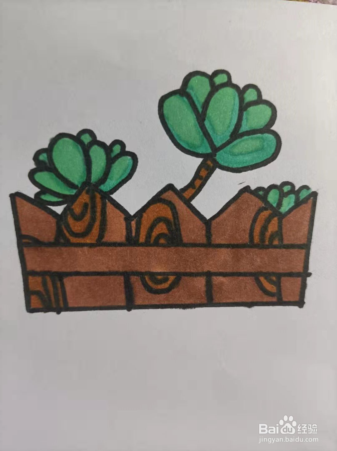 多肉的简笔画怎么画？