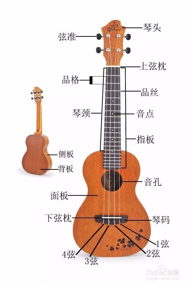 大学生怎么学尤克里里