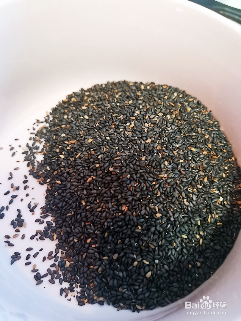 不能拒绝的芝麻