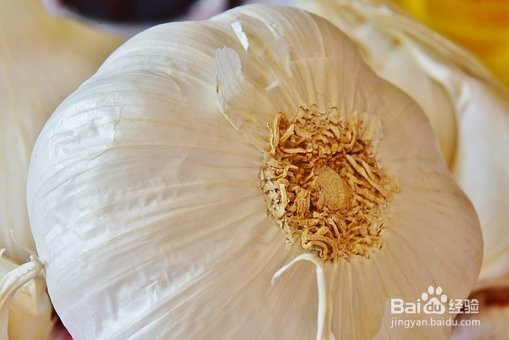 大蒜对身体有什么好处，与什么食物相克？