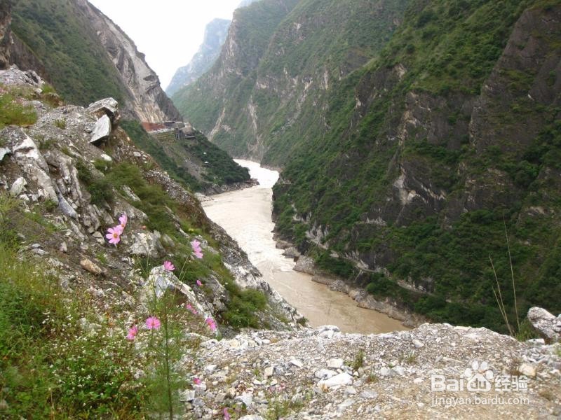 云南十日旅游攻略
